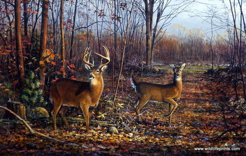 Scott Zoellick Lovers Lane