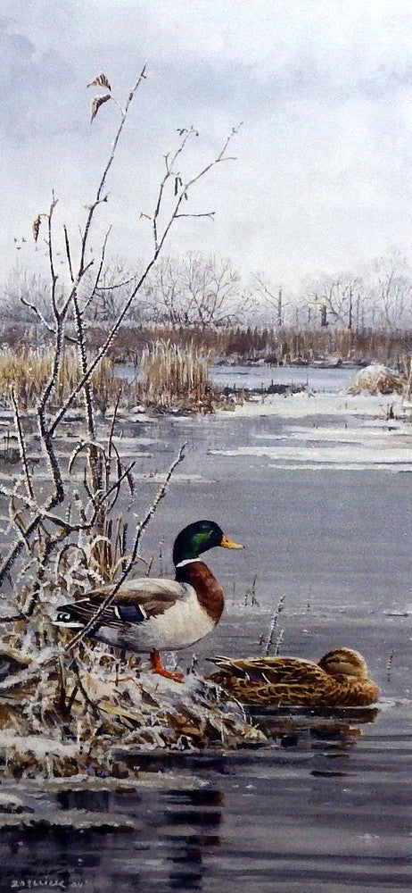 Scott Zoellick Frosty Morning Mallards