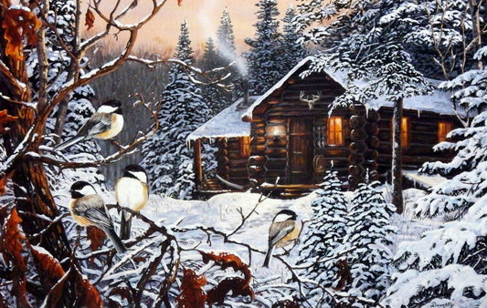 Terry Doughty Enchanted Woods