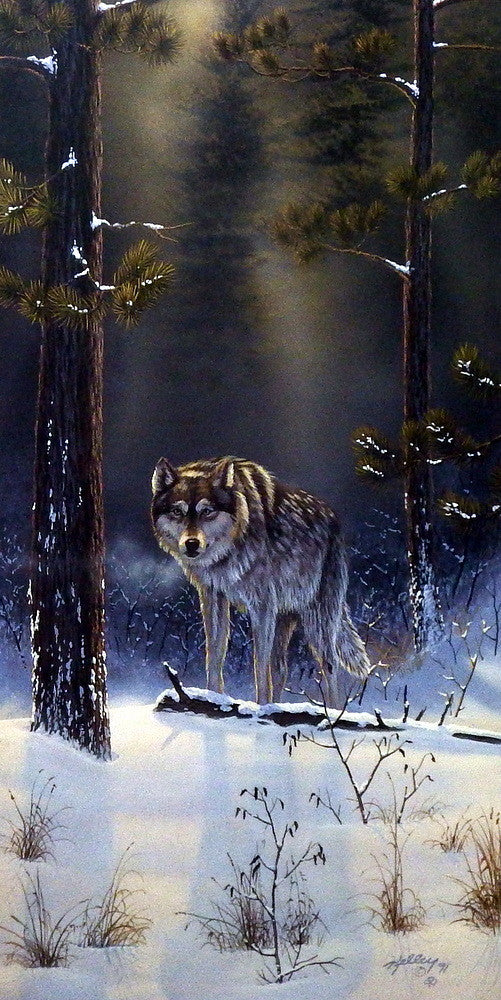 Rick Kelley The Shadow Hunter