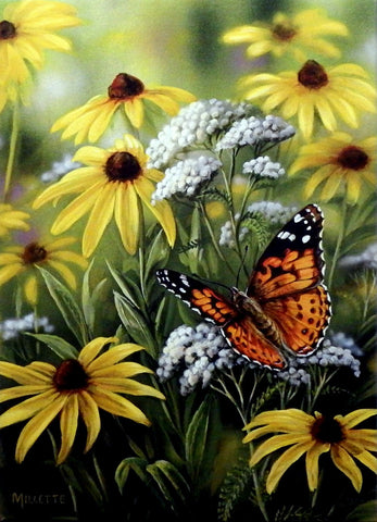 Rosemary Millette Painted Lady Butterfly