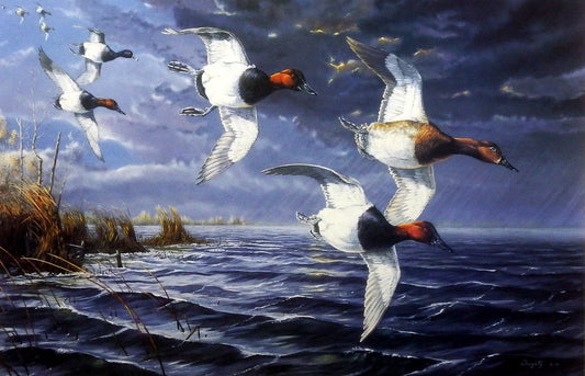 Terry Doughty Ahead of the Storm-Canvasbacks
