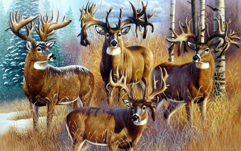 Cynthie Fisher Deer Picture THE 300 CLUB