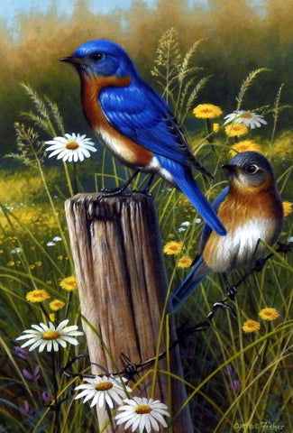 Cynthie Fisher Bluebird Picture Eastern Beauties