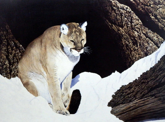 Ray Whitson A Solemn Prayer