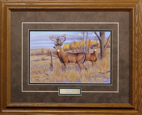 Cynthie Fisher Framed Deer Picture THE BRYANT BUCK