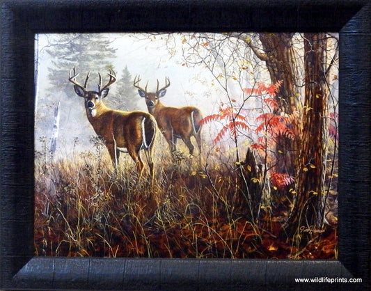 Jim Hansel Double Vision- Framed