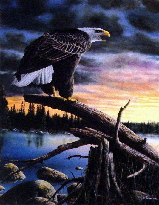 Jim Hansel The Sentinel
