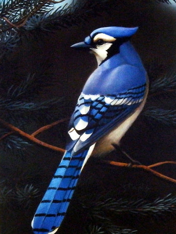 Leo Stans Nature's Blue