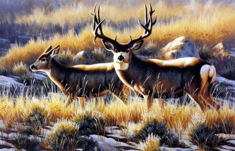 Cynthie Fisher Deer Picture STEPPING OUT
