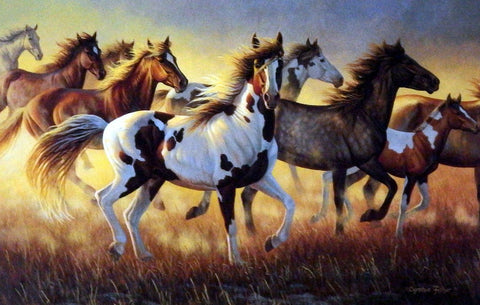 Cynthie Fisher Wild Horses Picture WILD FIRE