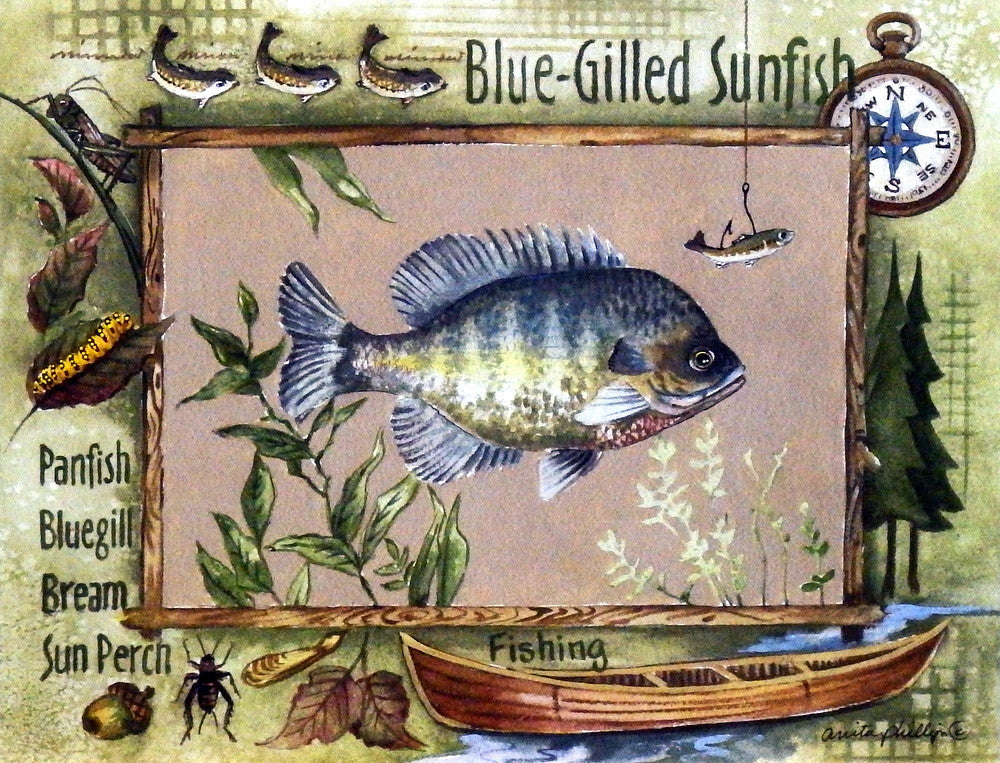 Anita Phillips Bluegill Fishing Print Wall Decor