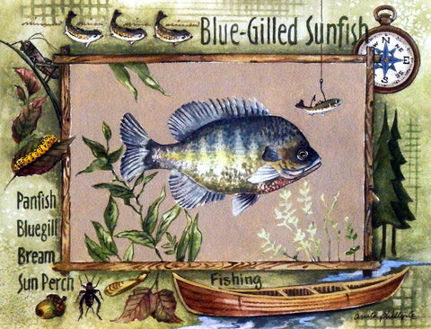 Anita Phillips Bluegill Fishing Print Wall Decor