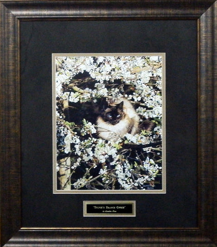 Sueellen Ross Sylvie's Branch Cat Print - Framed