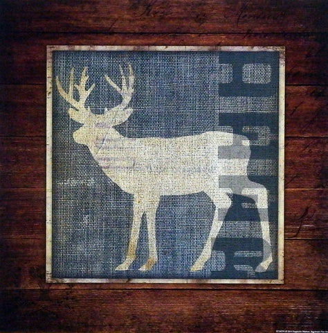 Stephanie Marrott The Wild Life