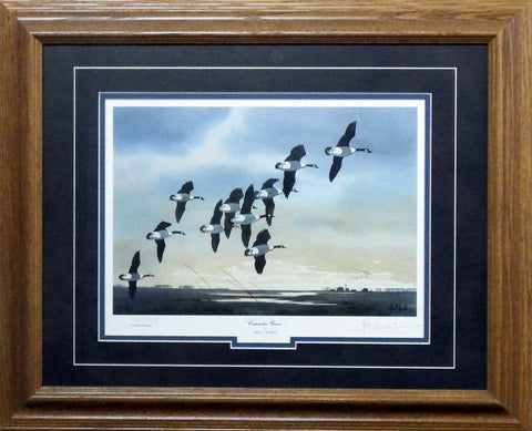Les Kouba Canada Geese-Framed