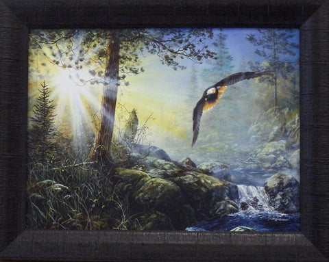 Jim Hansel Wings in the Mist - Framed
