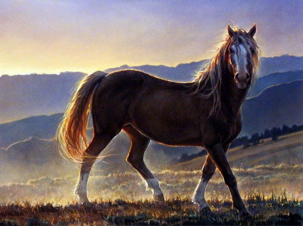 Nancy Gazier Blaze