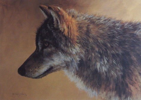 Morton Solberg Timber Wolf