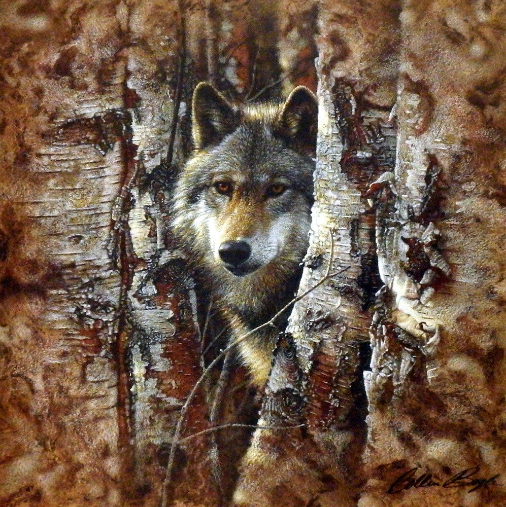 Collin Bogle Woodland Spirit