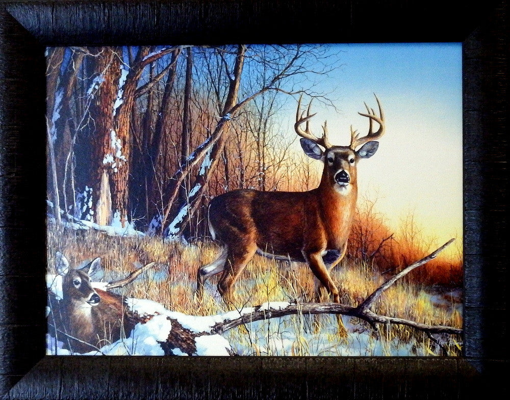Jim Hansel Resting Place Studio Canvas Framed