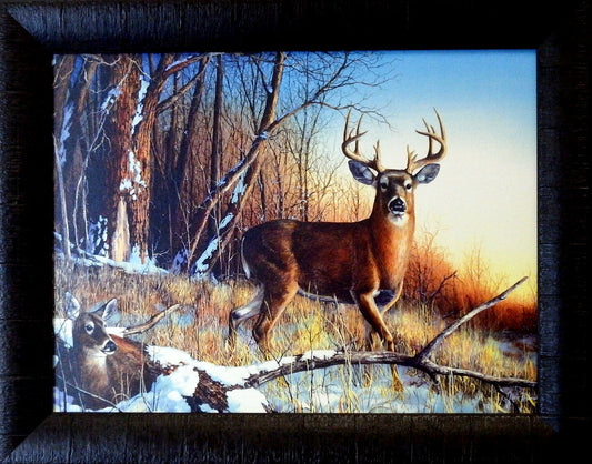 Jim Hansel Resting Place Studio Canvas Framed