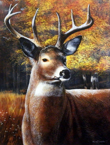 Kevin Daniel Buck