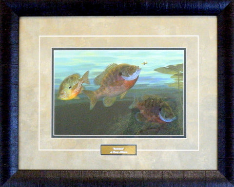 Randy McGovern Bluegills-Framed