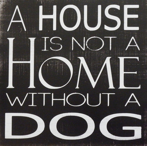 Holly Stadler Without a Dog