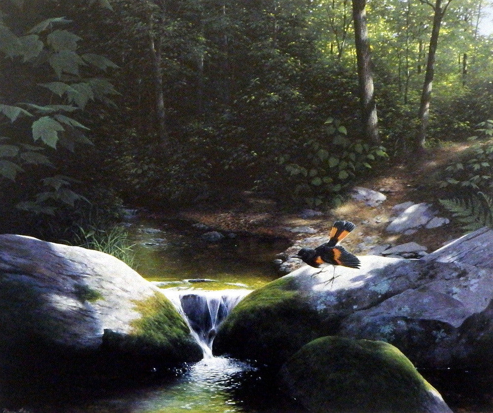 Nancy Howe Where Paths Cross