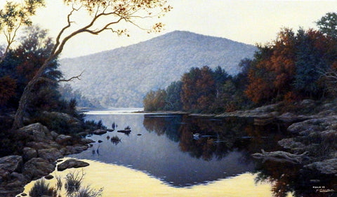 Larry Dyke Still Reflections