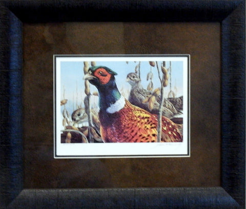 Mario Fernandez 1984 Pheasant Stamp Print Framed