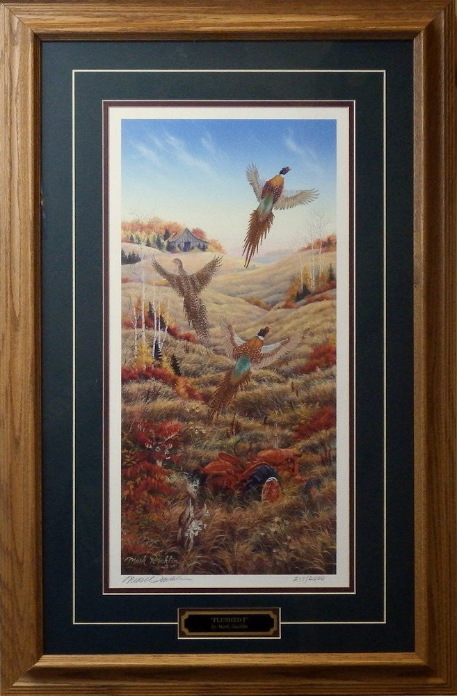 Mark Daehlin Flushed I-Framed