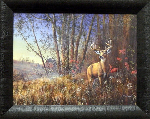 Jim Hansel Misty Morning Buck-Framed
