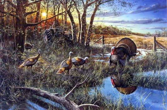 Jim Hansel The Challenge