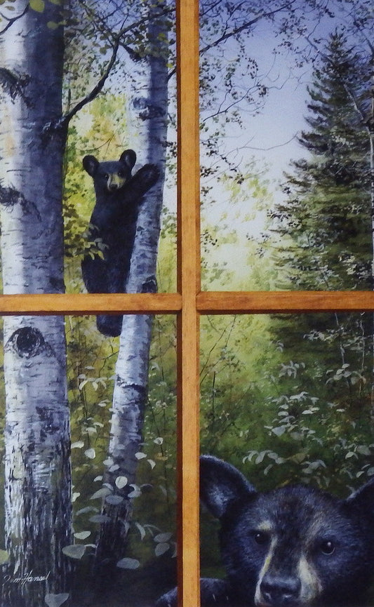 Jim Hansel Can't Bear to Look