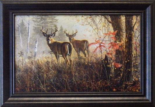 Jim Hansel "Double Vision" Deer Art Print Decorator framed 14.5x10.25