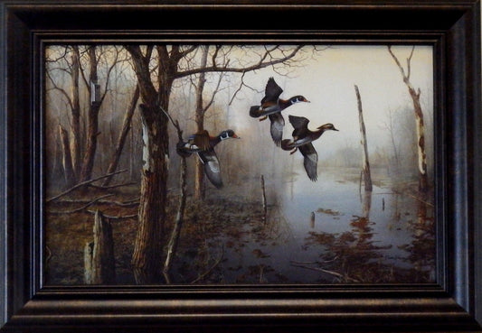 Jim Hansel Backwater Wood Duck Art Print Decorator-Framed 14.5x10.25
