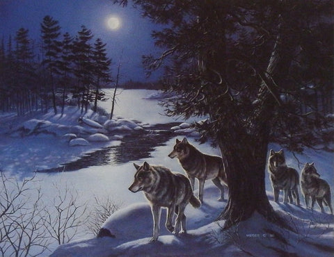 James Meger Legacy - Timberwolves