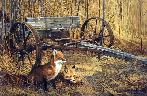 Scott Zoellick Sinissippi shadows