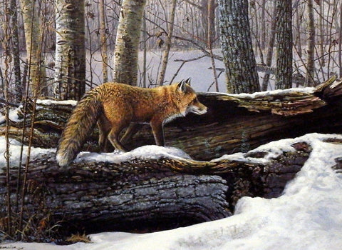 Scott Zoellick Curiosity