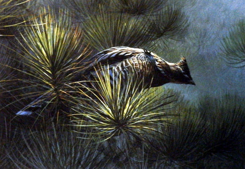 Don kloetzke Jack Pine Grouse