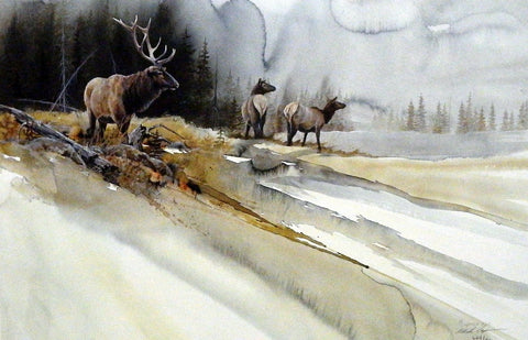 Mike Capser Fall Passage Elk 21 x 14
