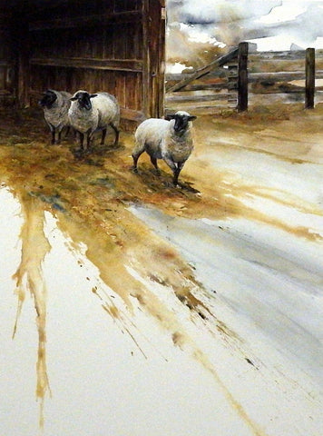 Mike Capser Country White Sheep Print 16 x 23