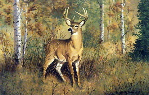 Peter Darro In The Clearing-Whitetail Deer 21 x 14