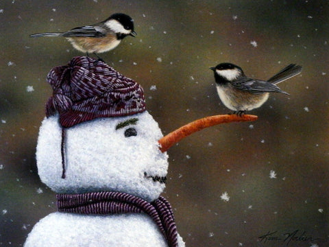 Kim Norlien Winter Visitors
