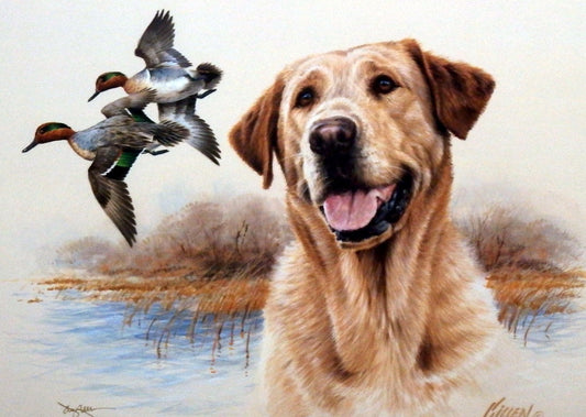 James Killen In the Marsh Yellow Lab