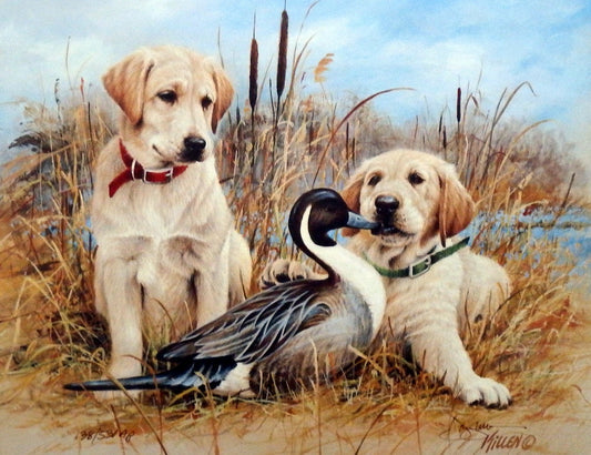 James Killen Great Beginnings Yellow Lab