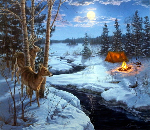 Darrell Bush Moon Shadows