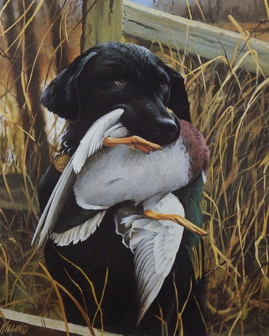 James Killen That's My Dog-Black Lab